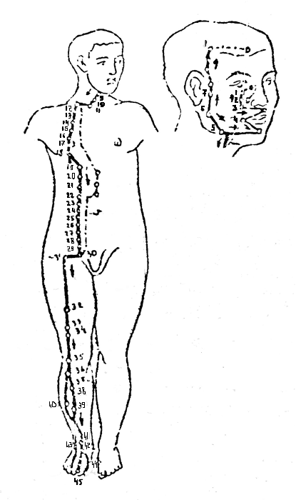   III