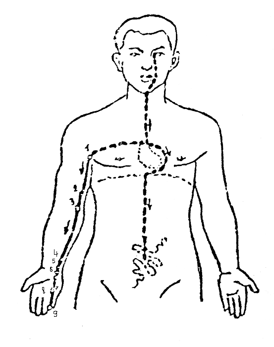   V