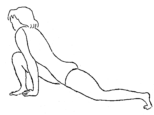  4  9