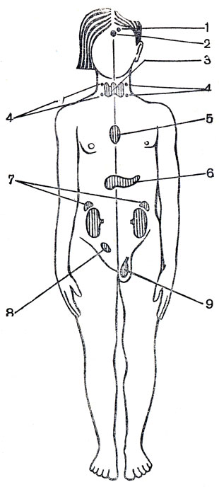 . 1.        (): 1 -  ,  ; 2 - ; 3 -  ; 4 -  ; 5 -  ; 6 -  ; 7 - ; 8 -  ( ); 9 -  ( )