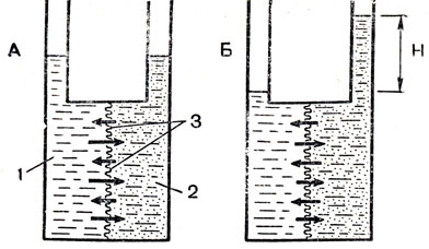 . 4.  : 1 -  ; 2 -  ; 3 -  ,     ;        ;  - ,       ;  -  ; -,  