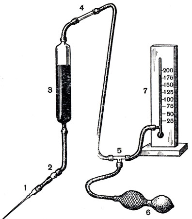 . 15.    : 1 - ; 2 -   ; 3 -   ; 4 -  ; 5 - ; 6 -    ; 7 - 