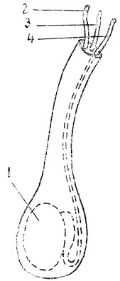 . 19.  ,   : 1 -  ,    ; 2 -  ; 3 -  ; 4 -  