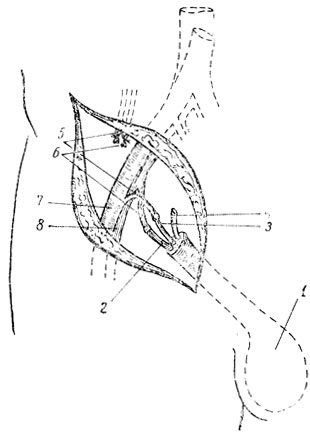 . 21.                   : 1 -    ; 2 -  ; 3 -  ; 4 -  ; 5 -       ; 6 -       ; 7 -   ; 8 -   