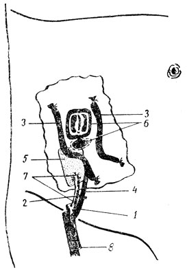 . 27.       -     ,      ( . . ): 1 -   ; 2 -   ; 3 -      ; 4 -   ; 5 -  ; 6 -    ; 7	-   (  ); 8 -   