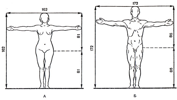 . 9.   ()    ()  .   . .     (  ,   ,- distantia intertrochanterica)    .     