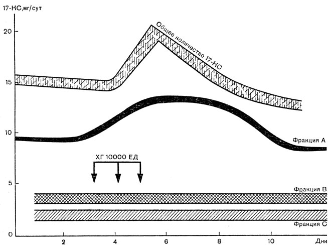 Рис. 21. Нормативные кривые стимуляции хорионическим гонадотропином (ХГ) здоровых мужчин. После введения 30 000 ЕД (3 раза по 10 000 ЕД) ХГ увеличивается общее количество 17-КС, а также возрастает фракция А (андростерон и этиохоланолон), которые являются производными андрогенов половой железы; фракция В (дегидроэпиандростерон) и фракция С (17- ОКС) - производные надпочечников - остаются на исходном уровне [Teter J., 1968]