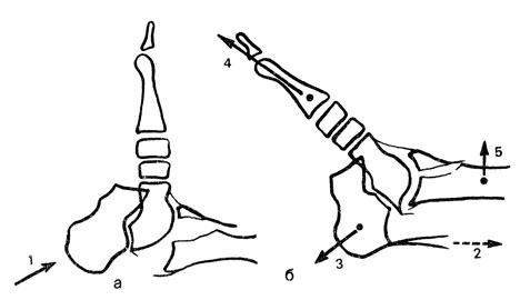 . 61.                  .  -    -     (1);  -   ; 2 -    ; 3 -      ; 4 -      ; 5 -    