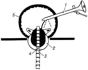 . 15.    (): 1  ; 2    ( .      ); 3    ; 4      (     ); 5   